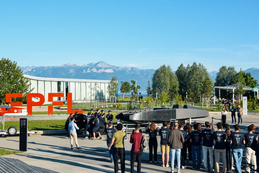 2025 — REF Design Reveal